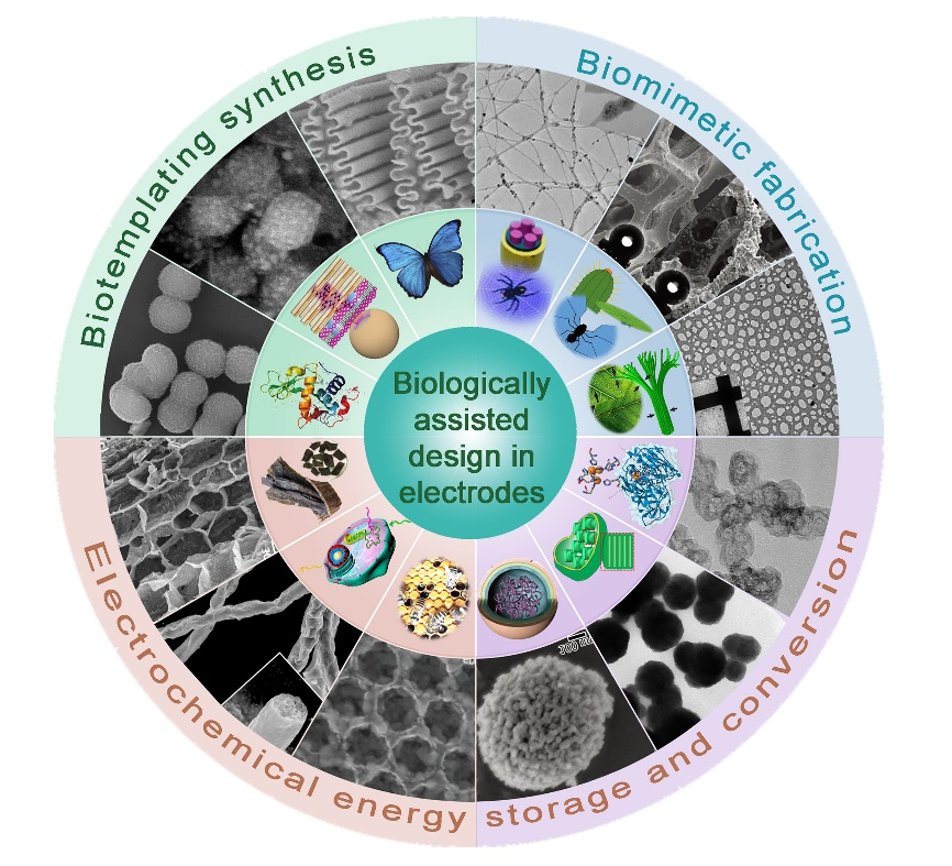 1683268593895821.png 图片1.png