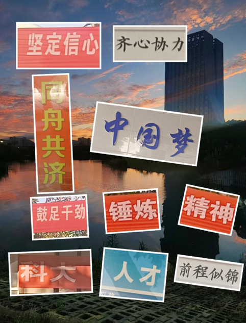 1730020824925954.png 1730020824925954.png