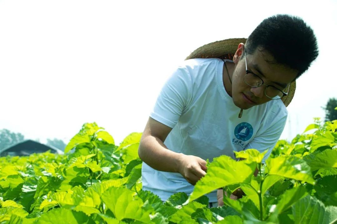 1689666440631339.jpg 5.jpg