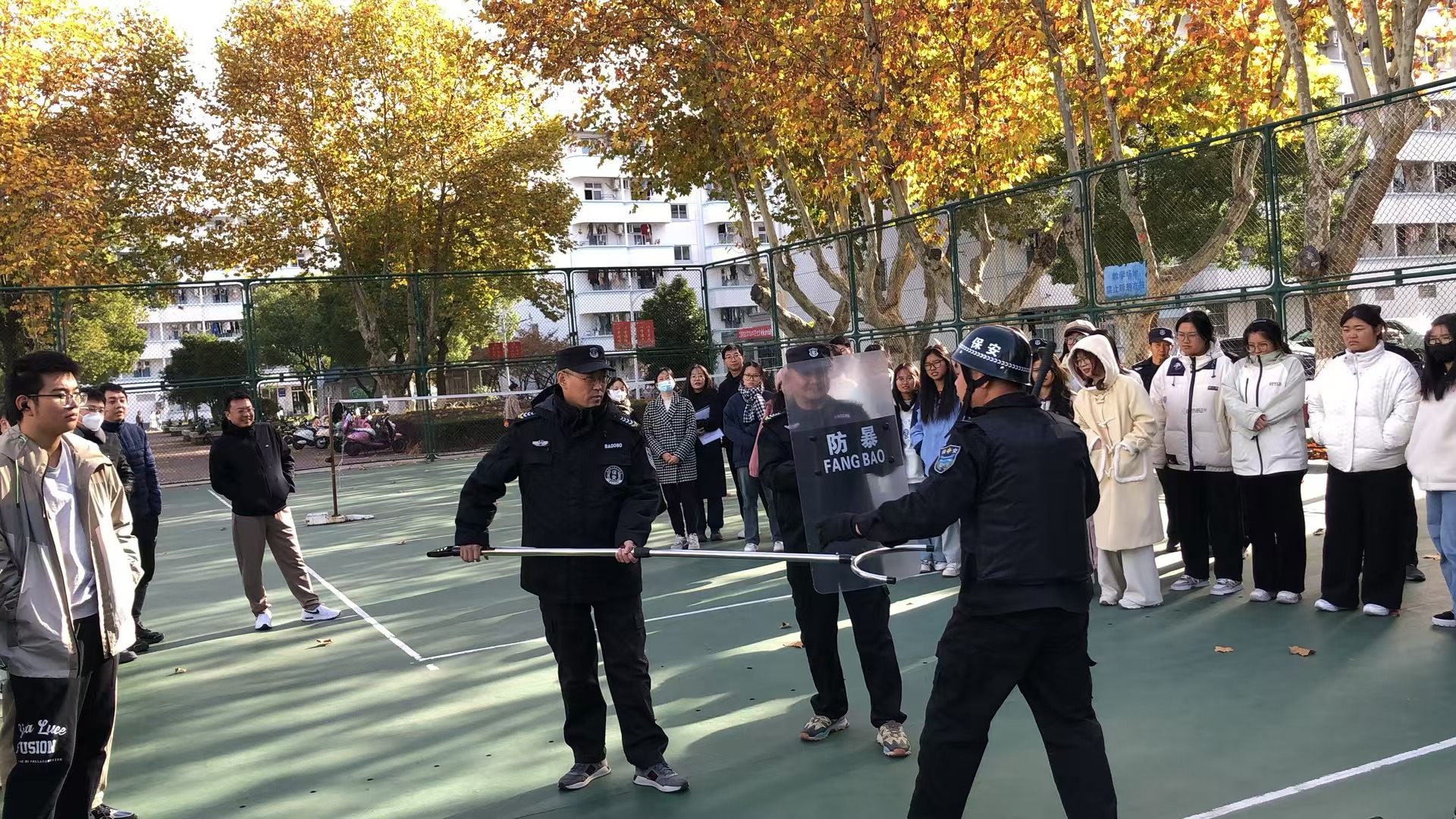 1732692301800907.jpg mmexport1732688405773.jpg