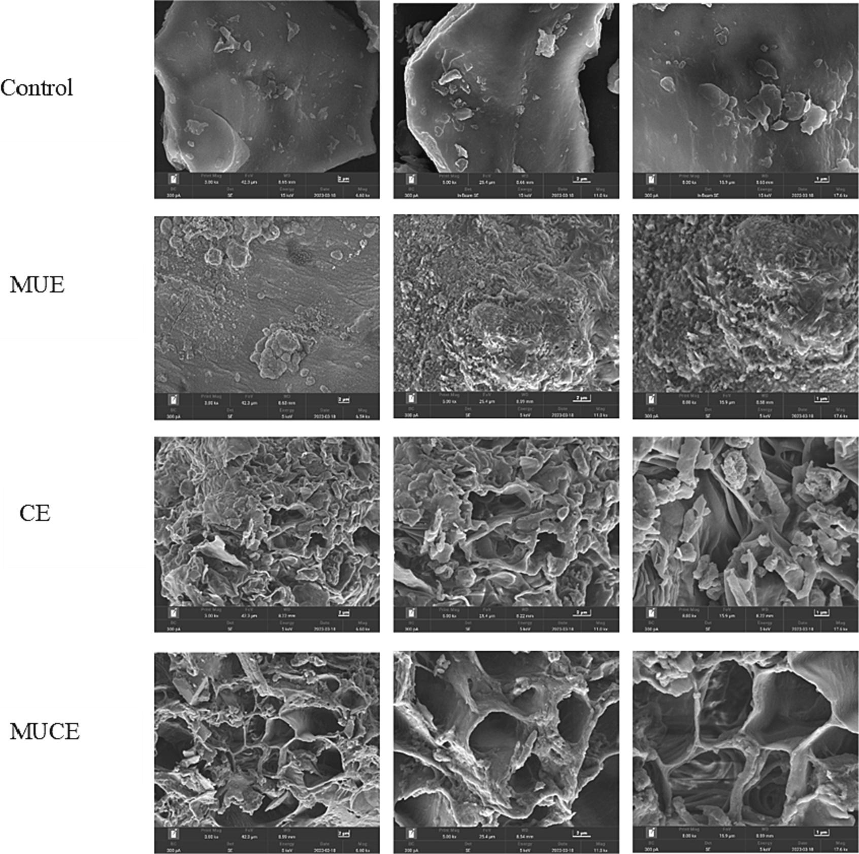 1694151898228824.jpg 图片2.jpg