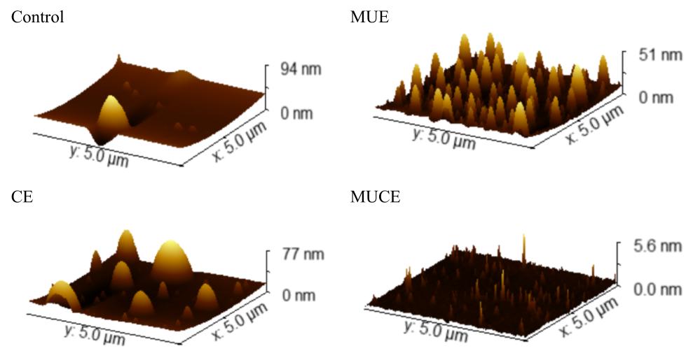 1694151925374243.jpg 图片3.jpg