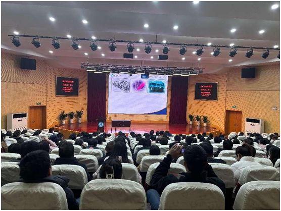 1734600752462408.png 4.png